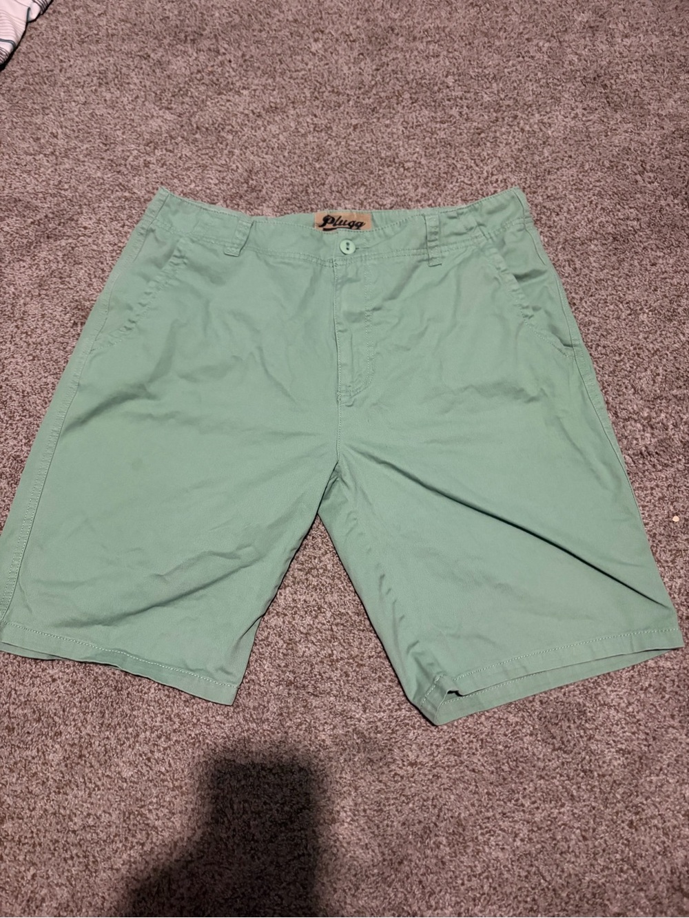 Plugg Men's Mint Green Flat-Front Casual Shorts